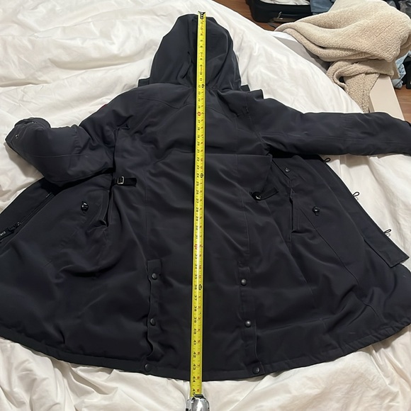 Canada goose - Picture 8 of 9